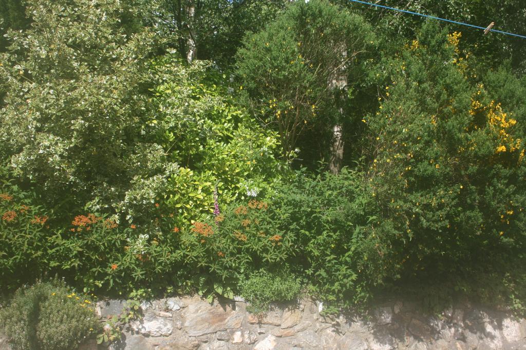 Laragh Mountain View Lodge Saggart ห้อง รูปภาพ
