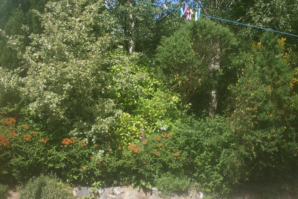 Laragh Mountain View Lodge Saggart ห้อง รูปภาพ
