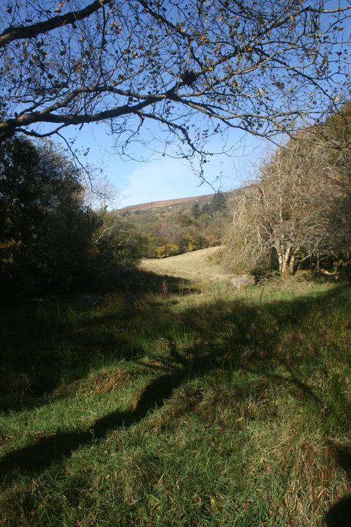 Laragh Mountain View Lodge Saggart ภายนอก รูปภาพ