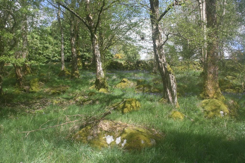 Laragh Mountain View Lodge Saggart ภายนอก รูปภาพ